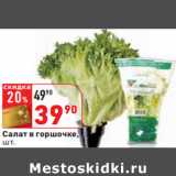 Магазин:Окей,Скидка:Салат в горшочке