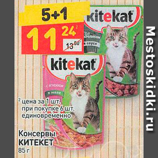 Акция - Корм для кошек Китекет