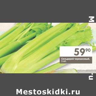 Акция - Сельдерей черешковый