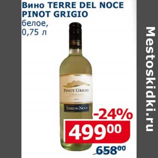 Акция - Вино Terre Del Noce Pinot Grigio белое