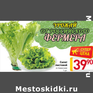 Акция - Салат листовой в стаканчике