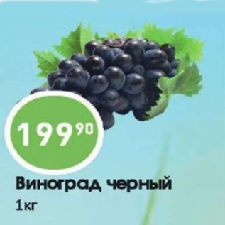 Акция - Виноград черный