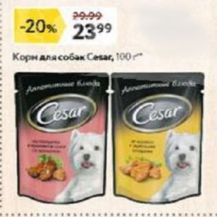 Акция - Корм для собак Cesar