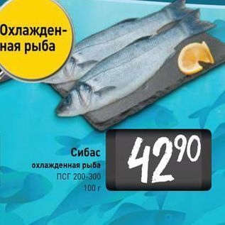 Акция - Сибас охлажденная рыба