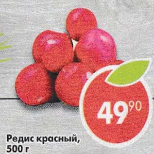 Акция - Редис красный