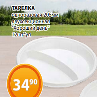 Акция - ТАРЕЛКА одноразовая 205мм двухсекционная "Хороший день" 12шт*уп