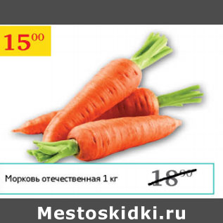 Акция - Морковь отечественная