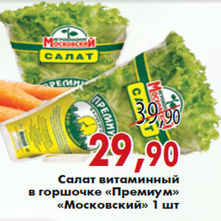 Акция - Салат витаминный в горшочке «Премиум» «Московский» 1 шт