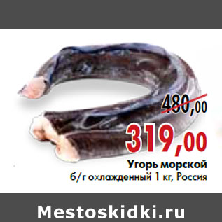 Акция - Угорь морской б/г охлажденный 1 кг, Россия