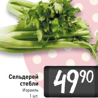 Акция - Сельдерей стебли