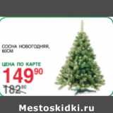 Магазин:Spar,Скидка:Сосна Новогодняя 80см
