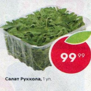 Акция - Салат Руккола