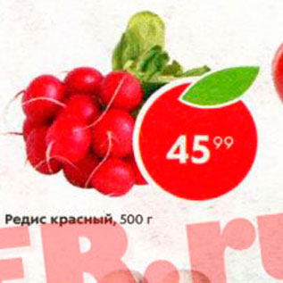 Акция - Редис красный