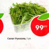 Салат Руккола