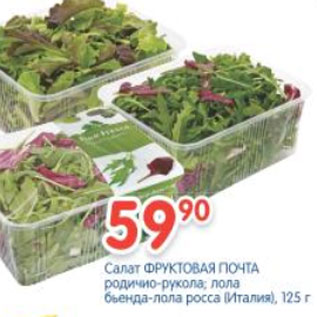 Акция - САЛАТ ФРУКТОВАЯ ПОЧТА