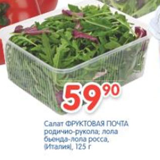 Акция - САЛАТ ФРУКТОВАЯ ПОЧТА