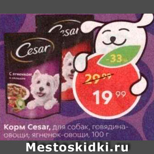 Акция - Корм для собак Cesar