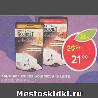 Акция - Корм для кошек Gourmet.