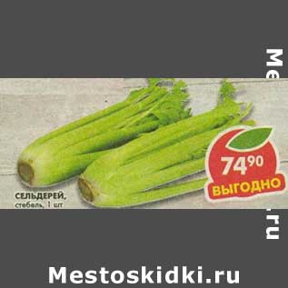 Акция - Сельдерей стебель