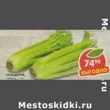 Магазин:Пятёрочка,Скидка:Сельдерей стебель