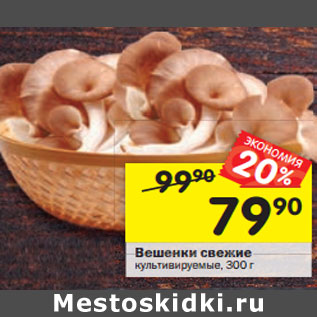 Акция - Вешенки свежие
