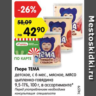 Акция - Пюре ТЕМА
