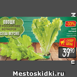 Акция - Салат листовой