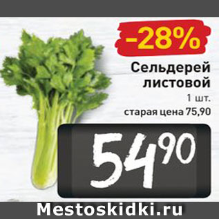 Акция - Сельдерей