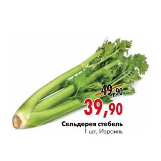 Акция - Сельдерея стебель