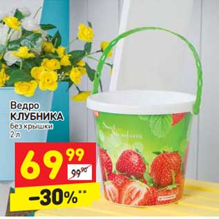 Акция - Ведро клубника