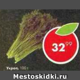 Акция - укроп