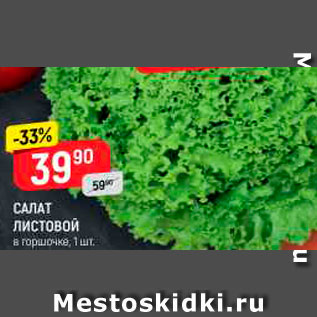 Акция - Салат листовой