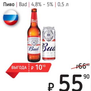 Акция - Пиво Bad 4,8-5%