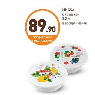 Акция - МИСКА с крышкой 3,2 л