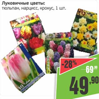 Акция - Луковичные цветы: тюльпан, нарцисс, крокус