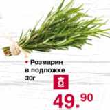Магазин:Оливье,Скидка:Розмарин в подложке
