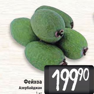 Акция - Фейхоа Азербайджан 1 кг