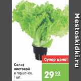 Магазин:Карусель,Скидка:Салат листовой в горшочке, 1 шт