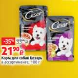 Магазин:Виктория,Скидка:Корм для собак Цезарь
в ассортименте, 100 г
