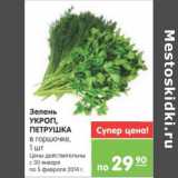 Магазин:Карусель,Скидка:ЗЕЛЕНЬ УКРОП, ПЕТРУШКА В ГОРШОЧКЕ