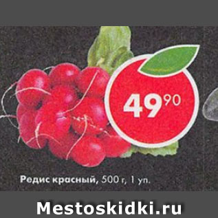 Акция - Редис красный