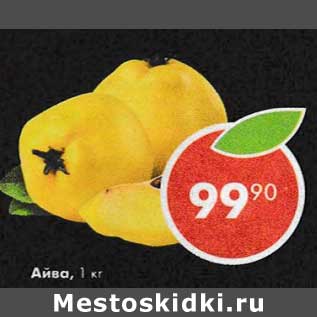 Акция - Айва