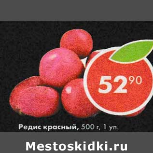 Акция - Редис красный