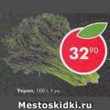 Магазин:Пятёрочка,Скидка:Укроп