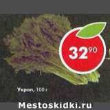 Магазин:Пятёрочка,Скидка:Укроп