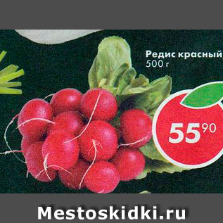 Акция - Редис красный