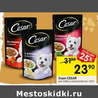 Акция - Корм Cesar