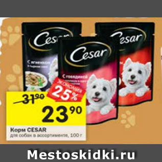 Акция - Корм Cesar