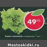 Магазин:Пятёрочка,Скидка:Салат листовой, в горшочке