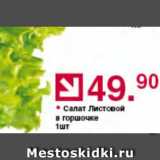 Магазин:Оливье,Скидка:Салат Листовой